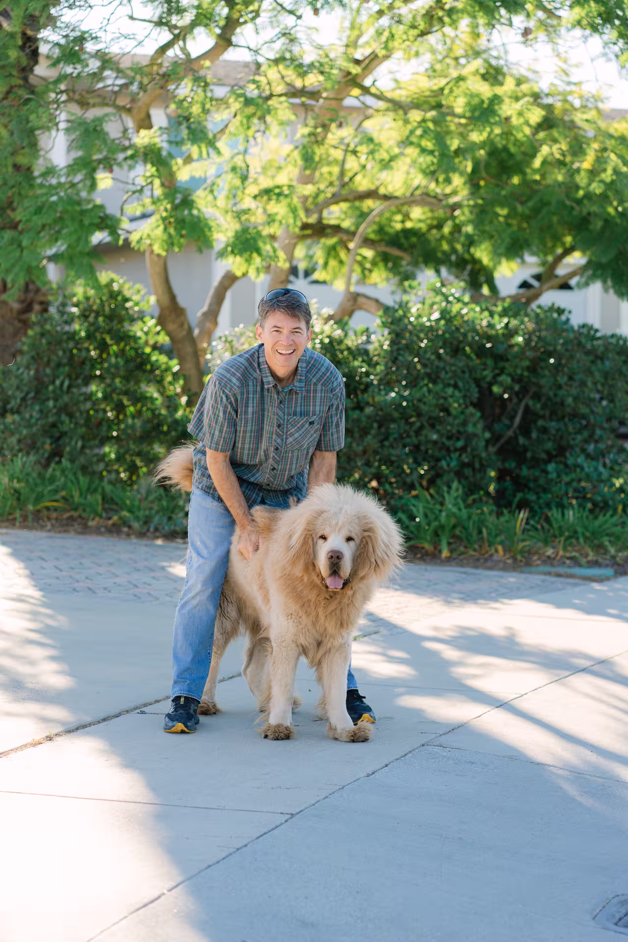 A man stands crouched over a large, tan fluffy dog, surrounded by green trees and bushes in the background at Palos Verdes K9 in Palos Verdes, CA.