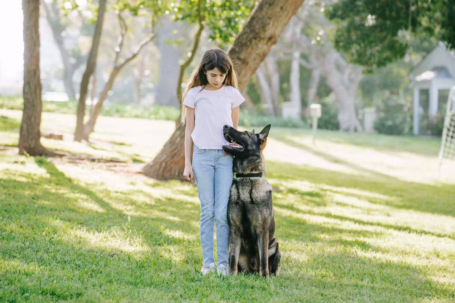 imgi_8_Behavior A girl standing with a trained dog